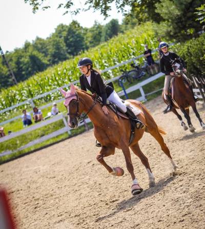 Quidam Noblesse